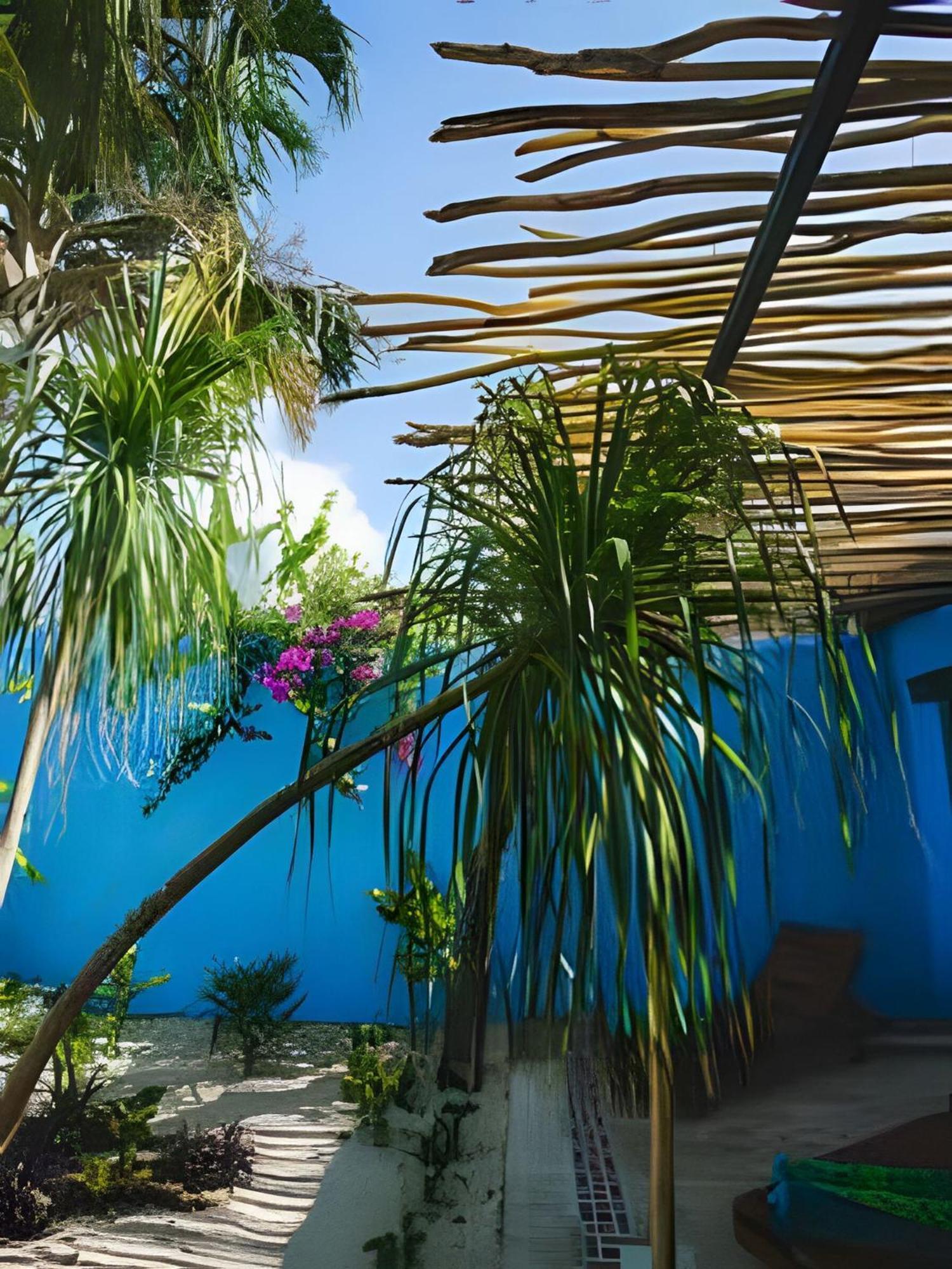 Casa Luna - Casa Luna House Downtown Holiday home Merida